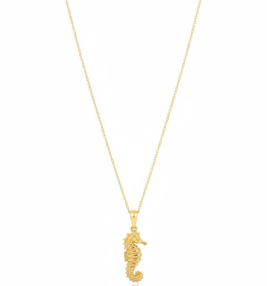 Sea Horse